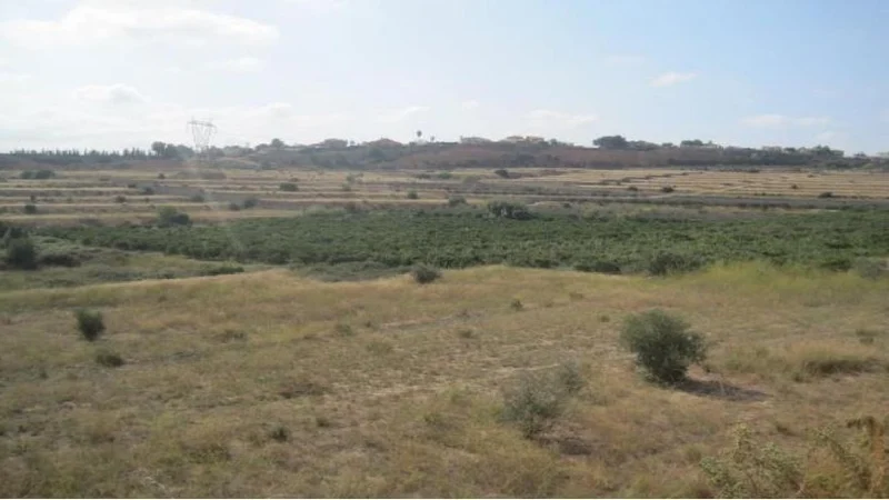 Finca rústica en venta en ctra Carretera - Imagen 6