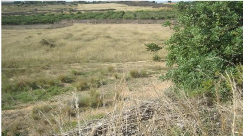 Finca rústica en venta en ctra Carretera - Imagen 5