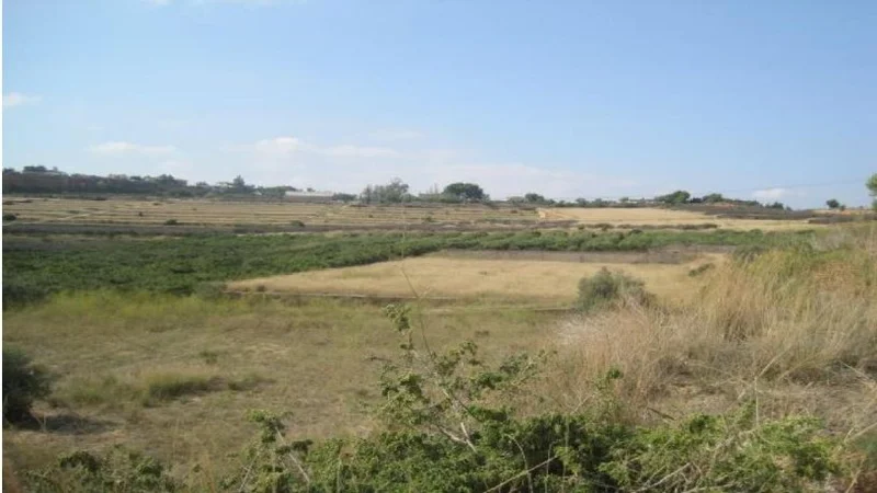 Finca rústica en venta en ctra Carretera - Imagen 4