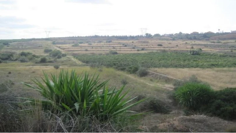 Finca rústica en venta en ctra Carretera - Imagen 3