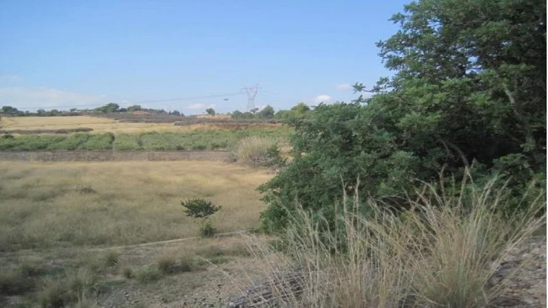 Finca rústica en venta en ctra Carretera - Imagen 2