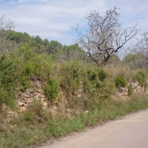 PRAJE CAMINO ONDA, POL.5 PARC.354 , Castellón / Castelló