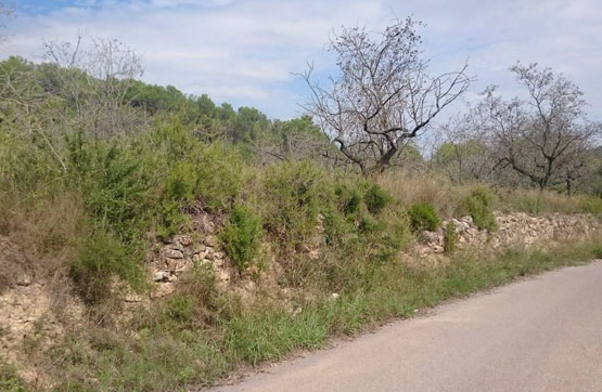 PRAJE CAMINO ONDA, POL.5 PARC.354 , Castellón / Castelló