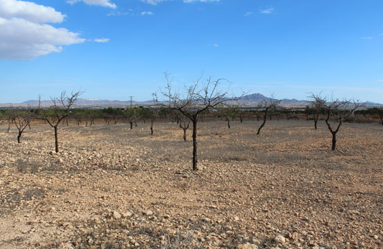 PRAJE LAS ROTURAS DE LA VALENCIANA, POL 6 PARC 399 , Murcia - Imagen 2