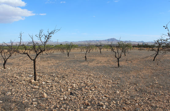 PRAJE LAS ROTURAS DE LA VALENCIANA, POL 6 PARC 399 , Murcia - Imagen 6
