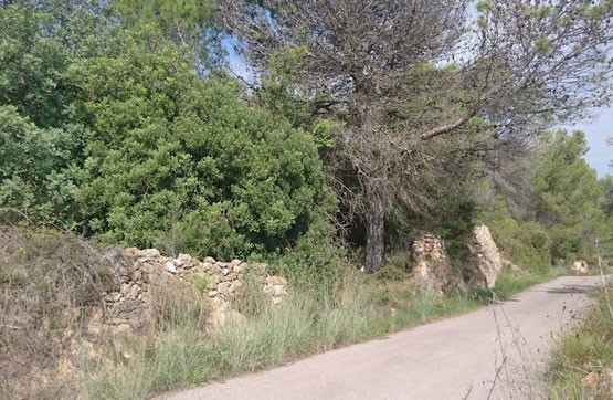 PRAJE CAMINO ONDA, POL.5 PARC.353 , Castellón / Castelló