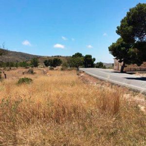 PTDA JI JI , Alicante / Alacant