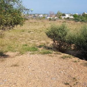 SECT 22-SUR S/N , Castellón / Castelló