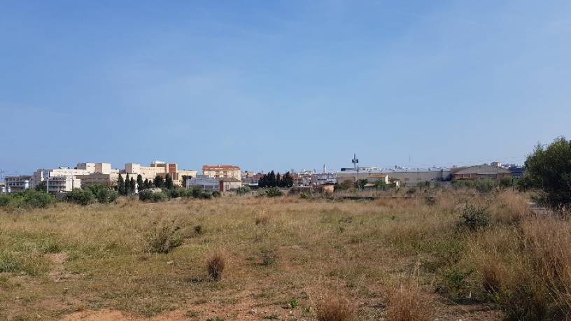 SECT 22-SUR S/N , Castellón / Castelló - Imagen 4