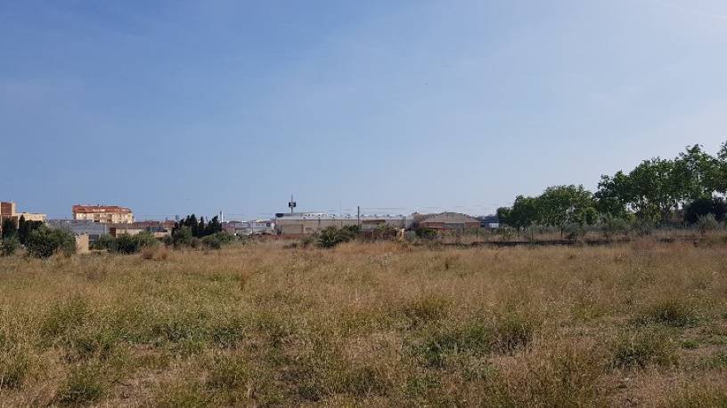 SECT 22-SUR S/N , Castellón / Castelló - Imagen 5