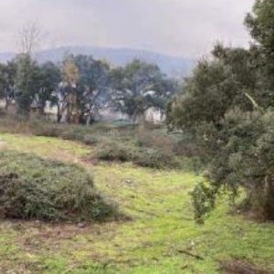 Parcela en Ourense , ORENSE