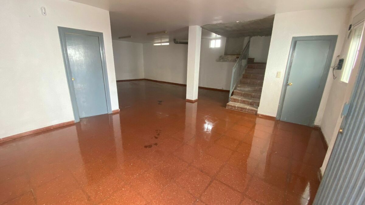 - Imagen 2