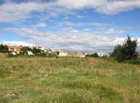 CALLE RECUEJAS, S/Nº, POLÍGONO 13, PARCELA 5 0 , Navarra