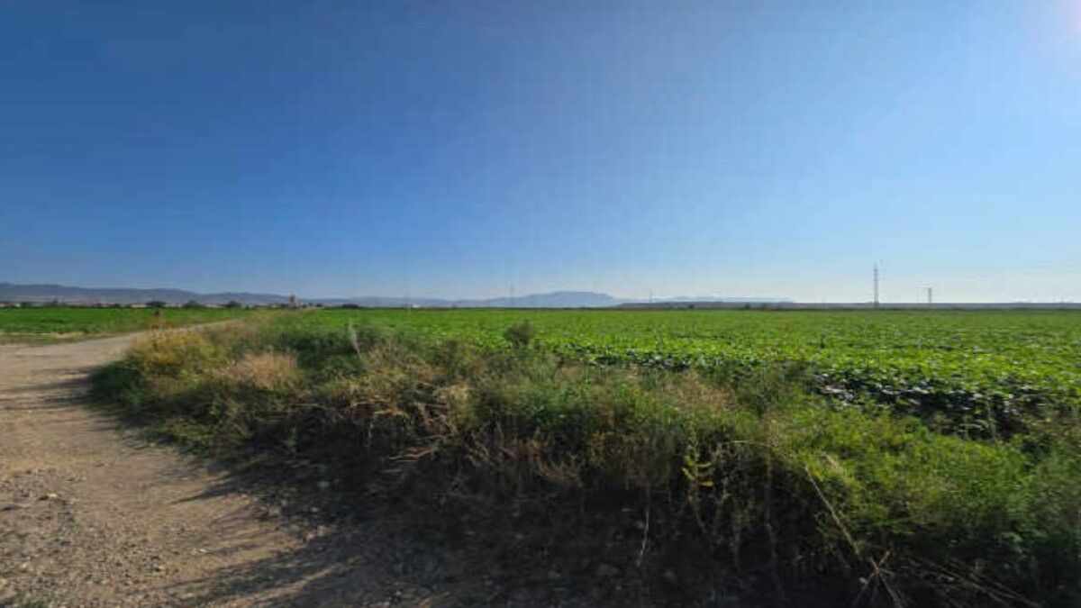 Parcela en Casalarreina , LA RIOJA - Imagen 4