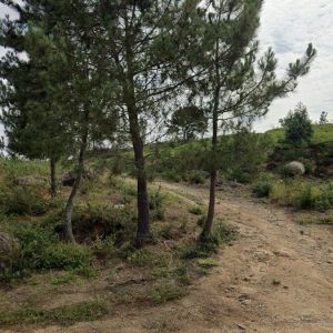 Parcela en Vilagarcia de Arousa , PONTEVEDRA