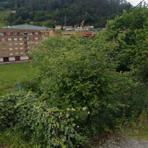 Parcela en San Martin del Rey Aurelio , ASTURIAS