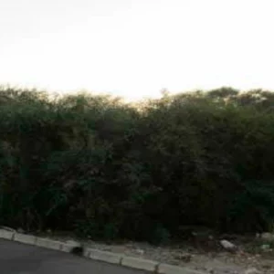 Obra parada en venta en lugar Parque de Oficinas Oeste, Murcia (Murcia)