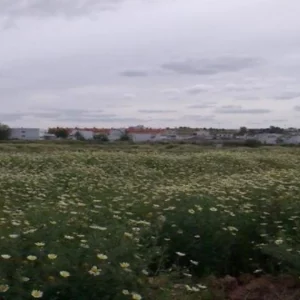 Obra parada en venta en cmno G A Becquer