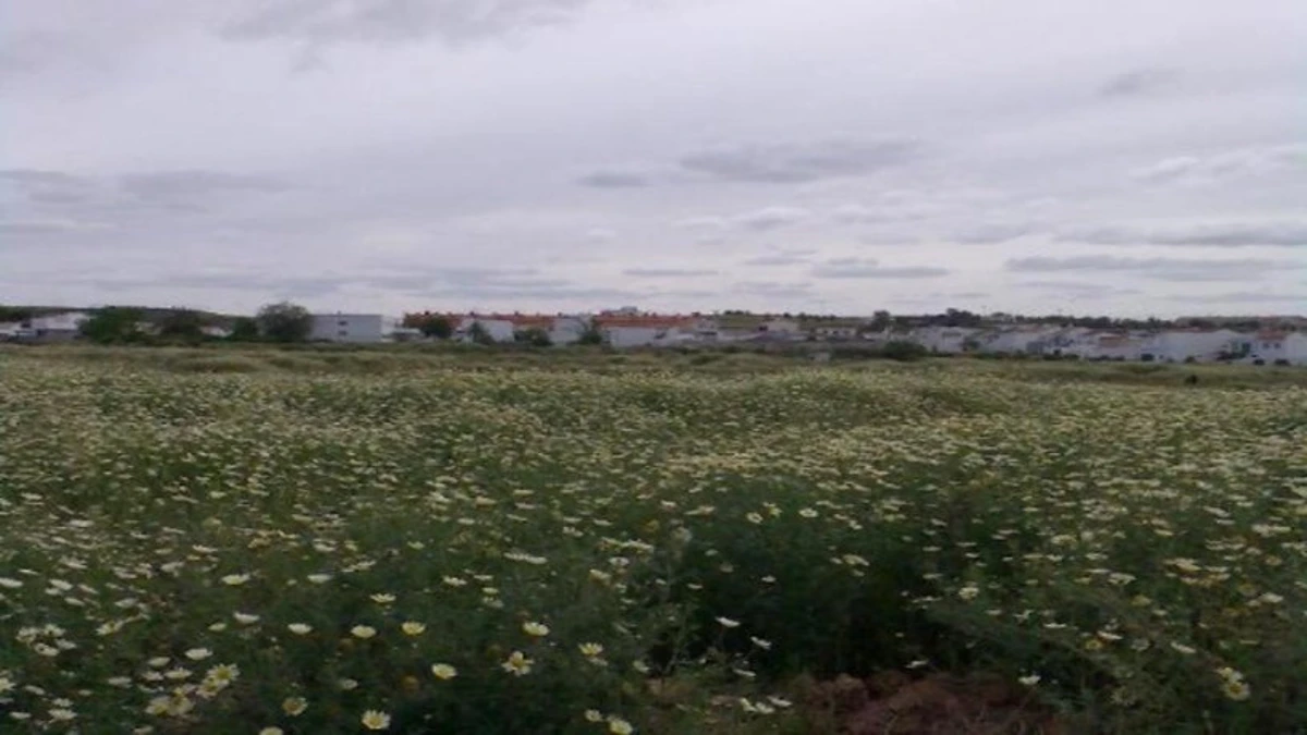 Obra parada en venta en cmno G A Becquer